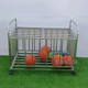不锈钢球车加厚幼儿园收纳球框儿童移动推车成人折叠篮球框置球架