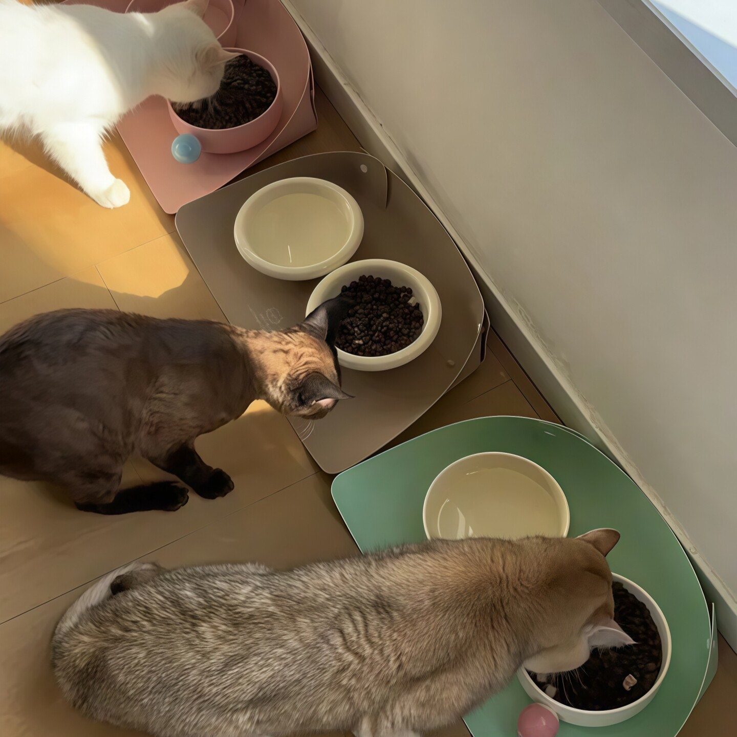 宠物餐垫猫咪碗垫皮革半包围加厚防滑防水防油渍小狗吃饭专用垫子