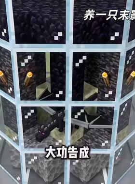 【养一只末影龙】我的世界磁力方块儿童创意益智玩具磁性拼装积木
