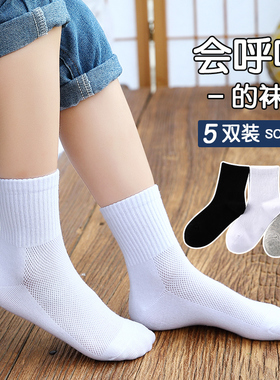 儿童袜子纯棉春秋薄款男童女童学生中大童运动透气中筒春夏纯白色
