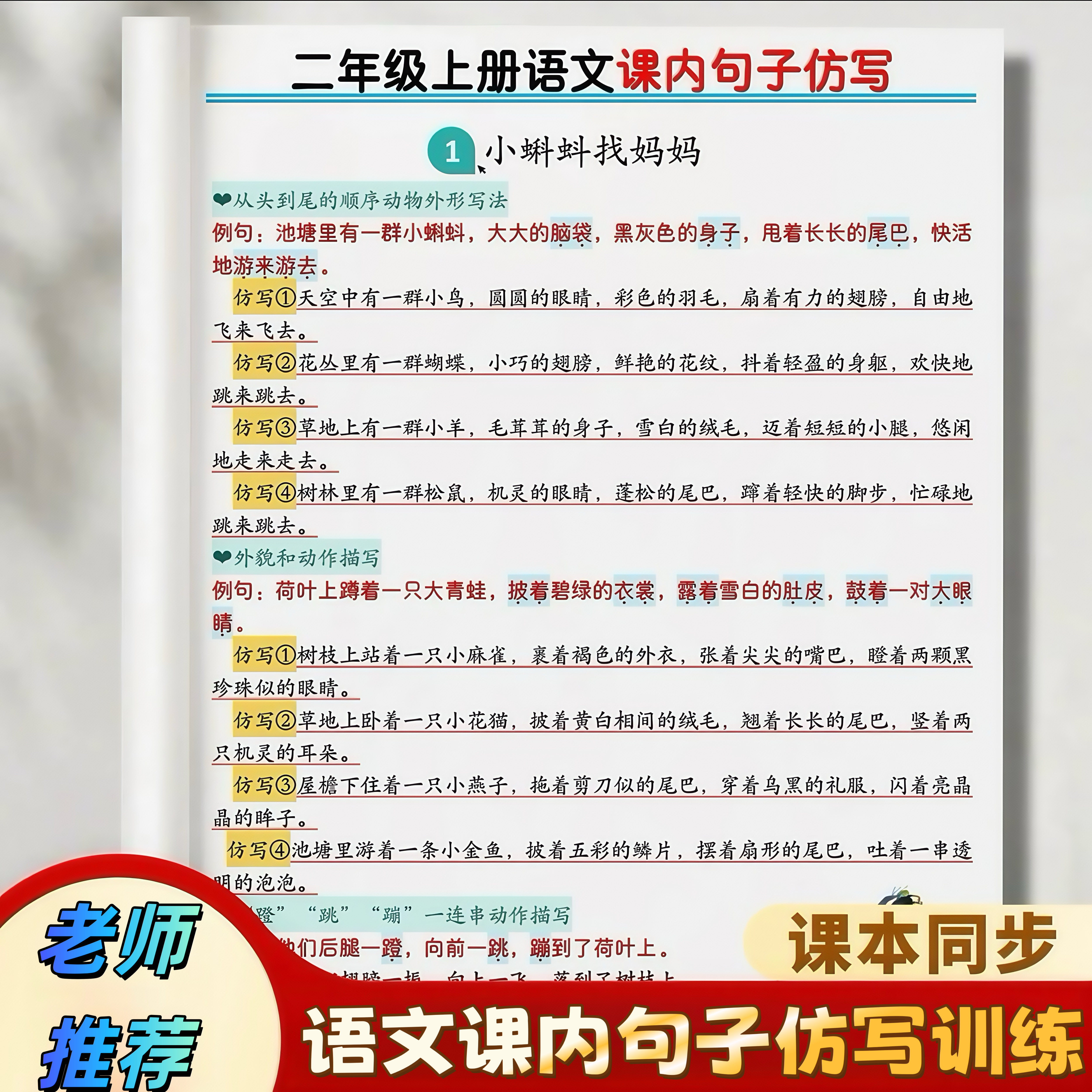 二年级上册重点仿写句子汇总同步课本例句仿写语文知识点预习复习