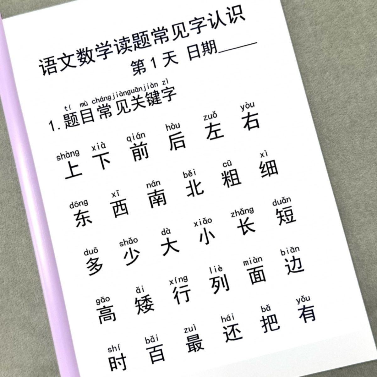 幼儿园大班中班一年级幼小衔接拼音拼读常见字认读计划表A4