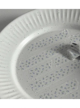 韩国正版dandelion碎花胶带分装韩系盐系手帐素材装饰打底基础款