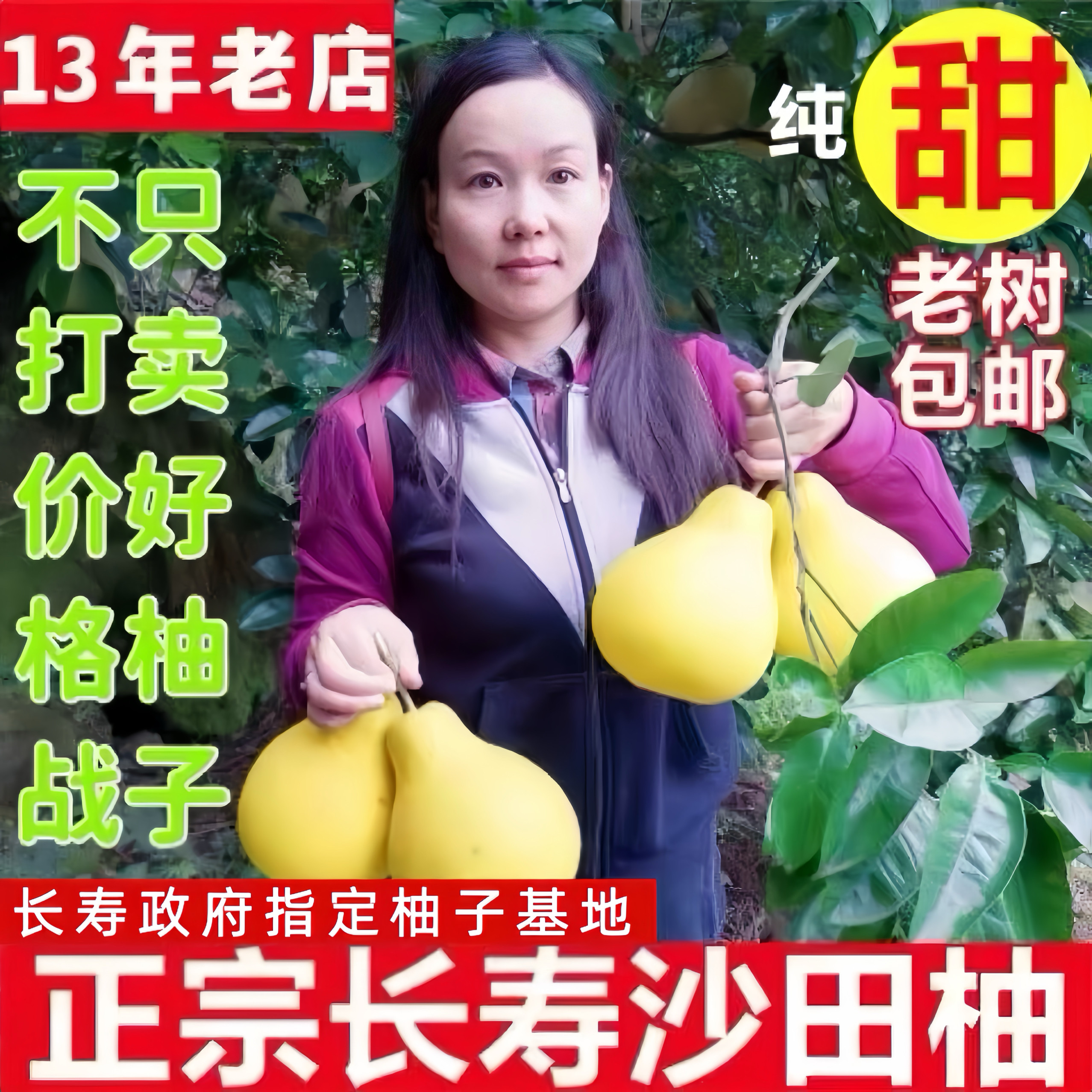 包邮正宗重庆长寿沙田柚老树非容县梅州柚子孕妇新鲜现摘大果纯甜