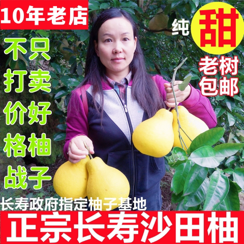重庆长寿沙田柚正宗老树纯甜现摘孕妇超甜大果包邮非容县梅州柚子