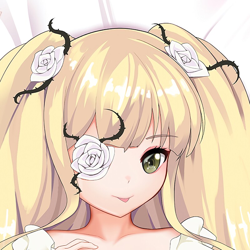 ws600 雪华绮晶 新蔷薇少女动漫等身抱枕套动漫周边等人双面