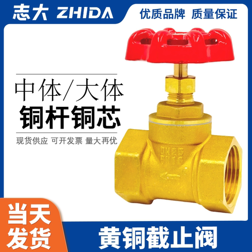 加厚耐高温全铜志大截止阀