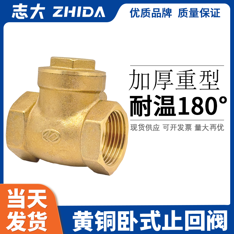 加厚大体卧式志大止回阀