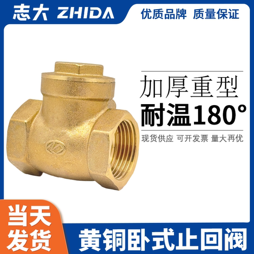 加厚大体卧式志大止回阀
