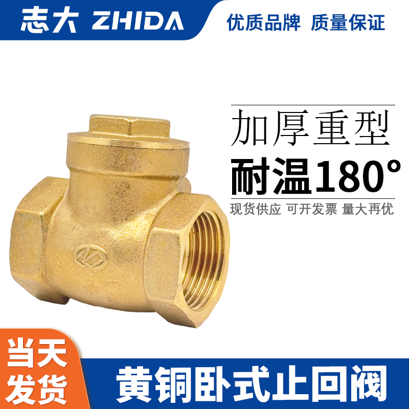 志大卧式止回阀单向阀逆止阀全铜加厚耐高温蒸汽加热锅炉4分6分25