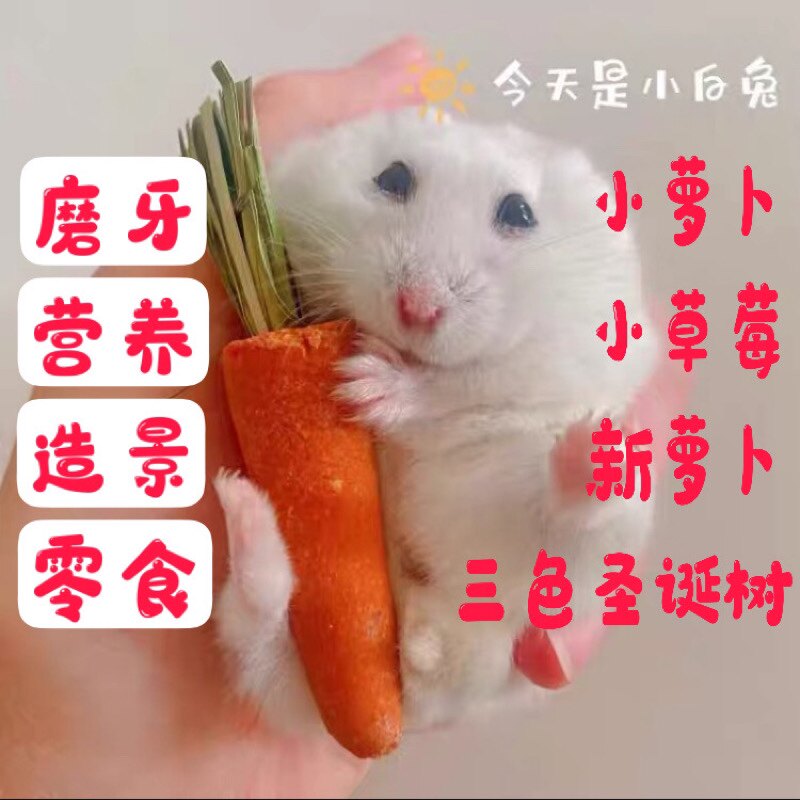 仓鼠小胡萝卜磨牙饼干造景用品可吃草饼三色圣诞树兔子小零食营养
