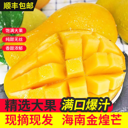 三亚金煌芒树上熟超甜坏果包赔