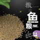 渔场自产观赏鱼锦鲤金鱼育成饲料增色鱼粮不浑水鱼食增肥膨化家用