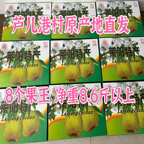 莱阳梨慈梨自家果园正宗古梨树