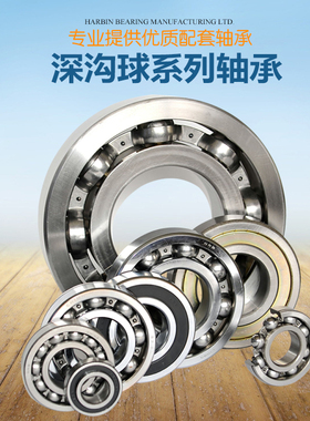 深沟球轴承16001 16002 16003 16004 16005 16006 ZZ RS开式轴承