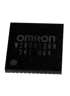 W29N08GVSIAA  | W2RF004RM  | W2RG012RN