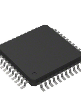 R5F100FEGFP#30  |  R5F100FEGFP#50  |  R5F100FFAFP#30