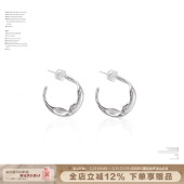 SUMIYAKI 耳饰女小众设计高级感耳钉 C圈设计弧线半圈耳环女新款