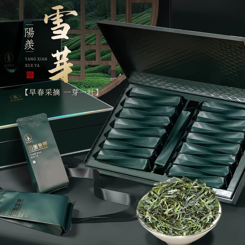 宜兴绿茶前龙全手工阳羡雪芽栗香花果香口味鲜爽回甘独立小包礼盒