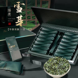 宜兴绿茶前龙全手工阳羡雪芽栗香花果香口味鲜爽回甘独立小包礼盒