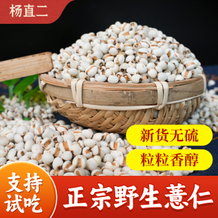 新货原色无硫养生煮粥正装 可试吃 当季 杨直二深山小薏米500g正品