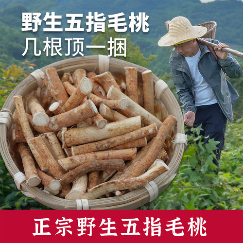 杨直二深山五指毛桃中药材正品