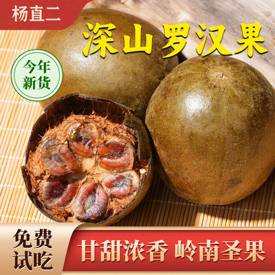 杨直二深山广西野罗汉果中药材