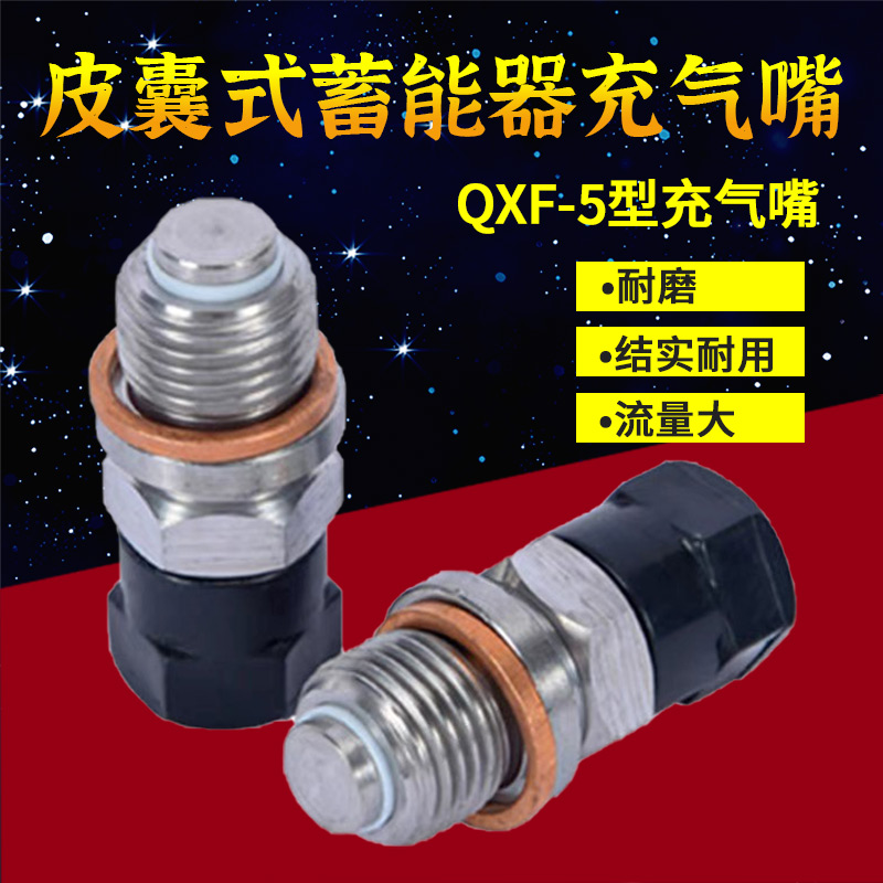 液压元件 NXQ/QXF囊式蓄能器专用充气阀充气嘴 蓄能器单向阀 五金/工具 其他液压工具 原图主图