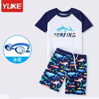 Акула, комплект, водонепроницаемый купальник