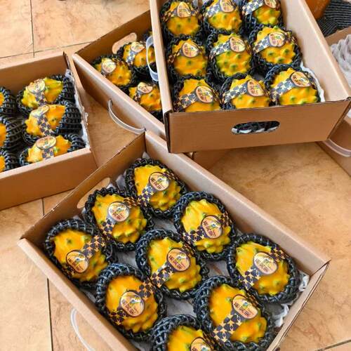 海南燕窝果麒麟果4斤装礼盒顺丰黄金火龙果海南三亚奇缺品种水果