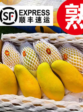 老树果海南金煌芒果肉Q弹