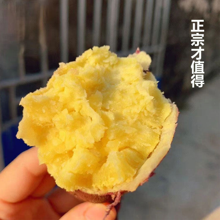顺丰正宗海南澄迈桥头地瓜富硒新鲜农家沙地板栗番薯金时鸣门红薯 - 实物图