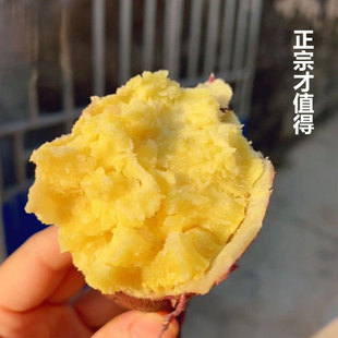 顺丰正宗海南澄迈桥头地瓜富硒新鲜农家沙地板栗番薯金时鸣门红薯