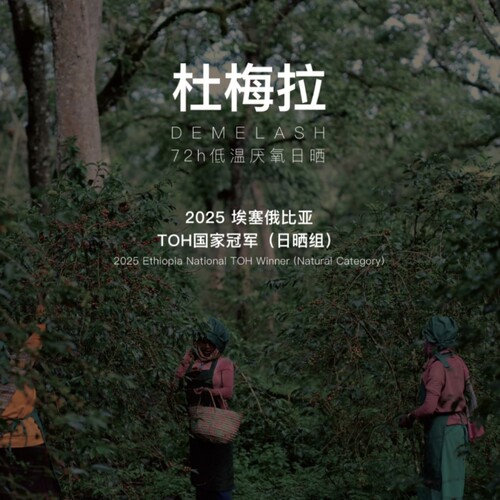 埃塞杜梅拉2025TOH日晒冠军