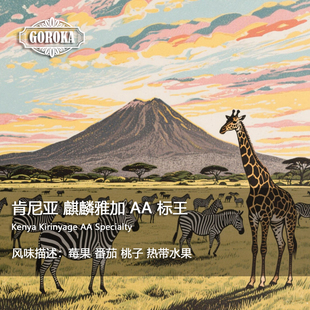 【果卡】肯尼亚 麒麟雅加 AA 竞赛级标王 手冲单品咖啡豆