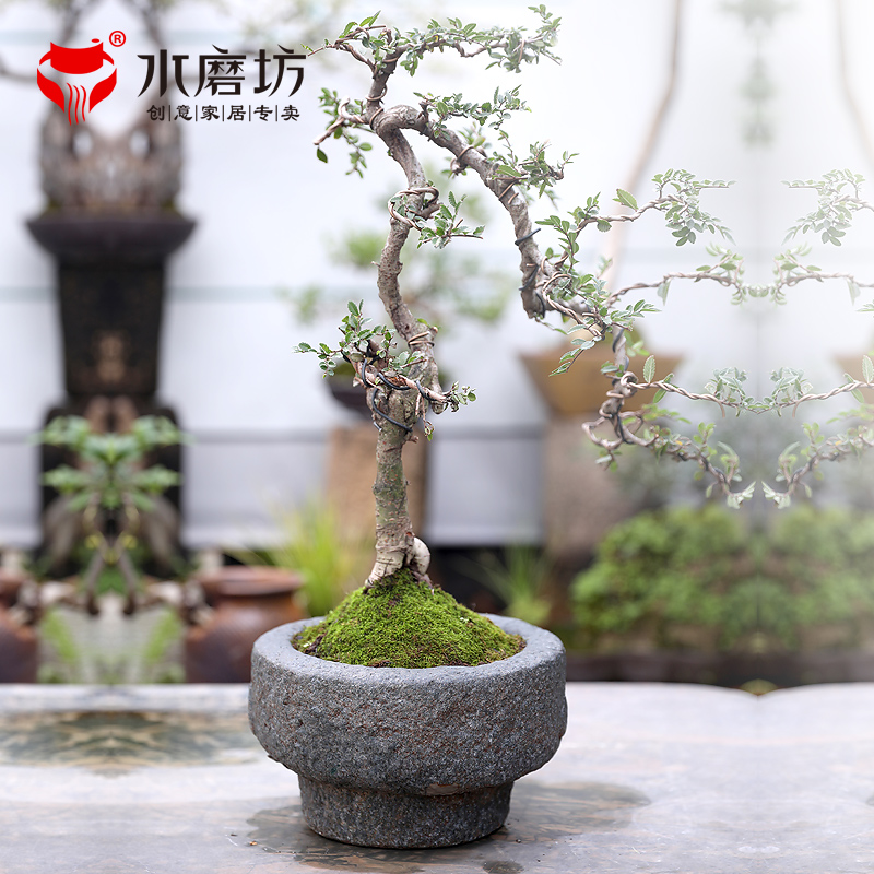 庭院阳台花盆花器摆件