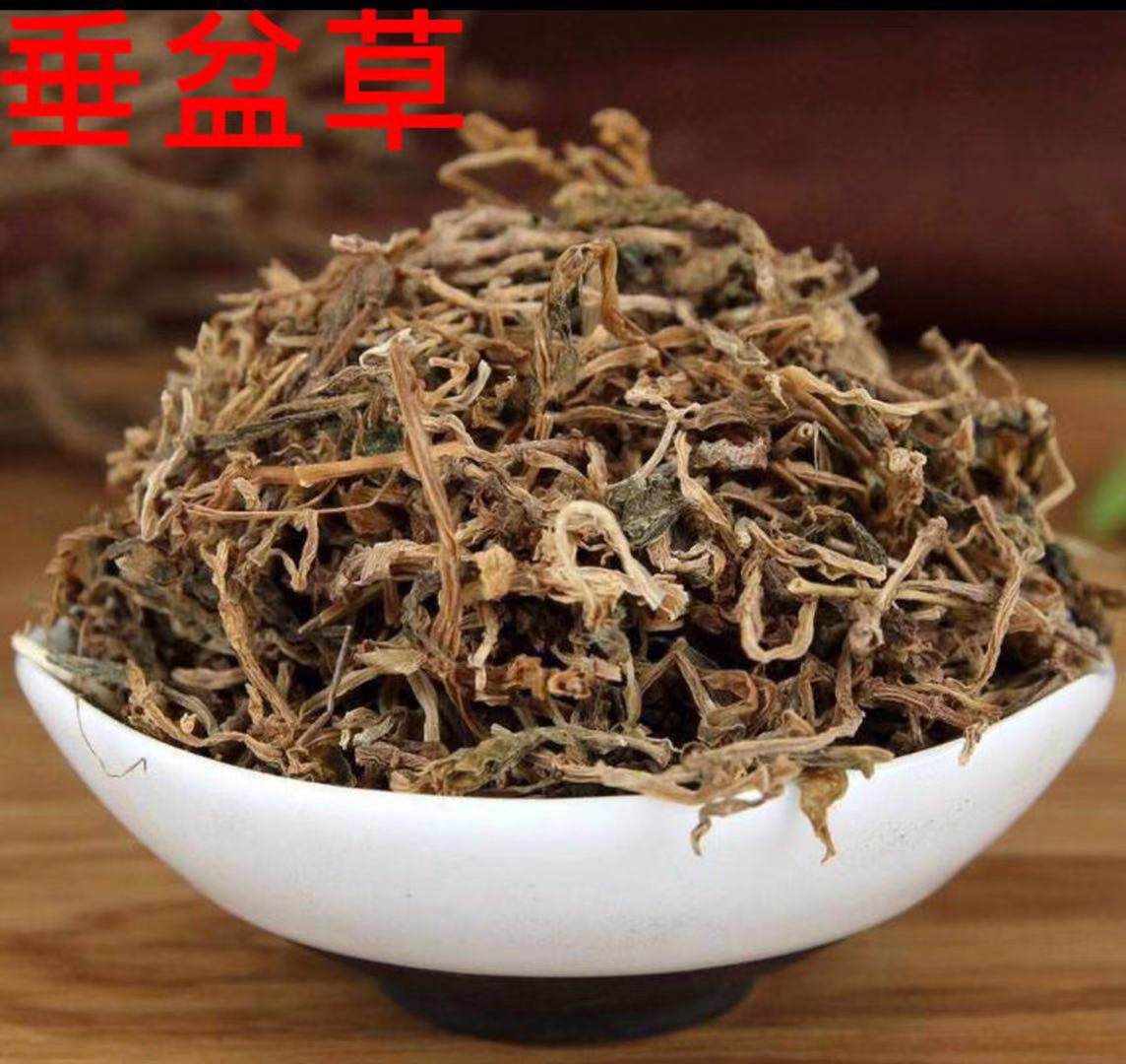 中药材垂盆草500克23包邮