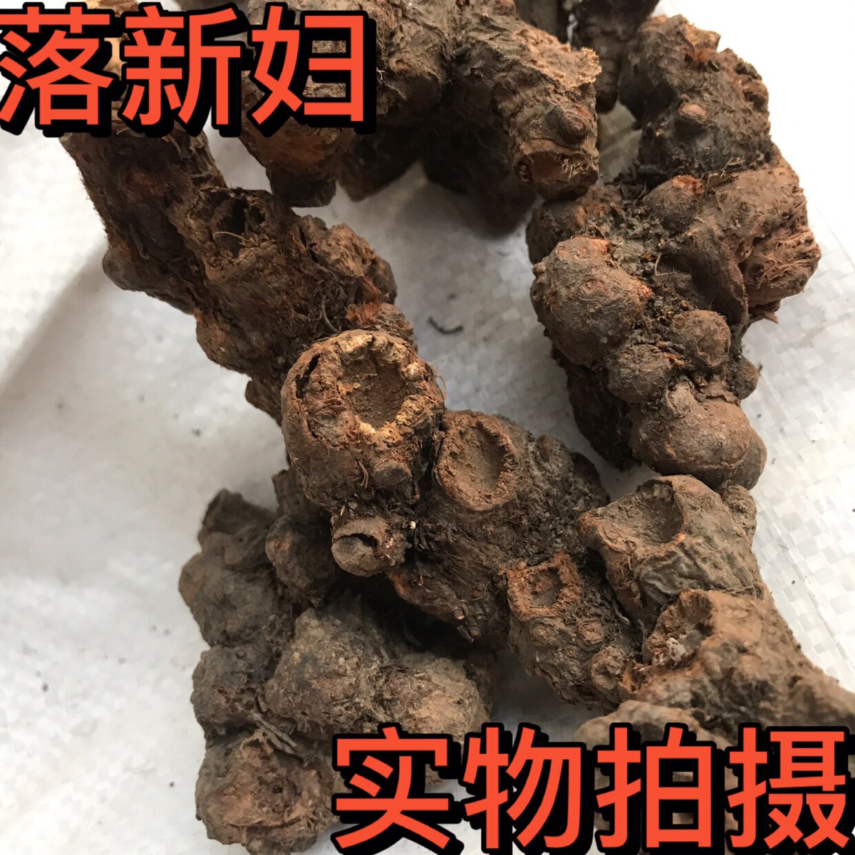 中药材 落新妇 马尾参 山花七 阿根八 铁火钳 金毛三七500克包邮