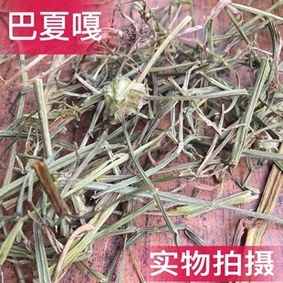 中药材巴夏嘎 哇夏嘎500克35元包邮