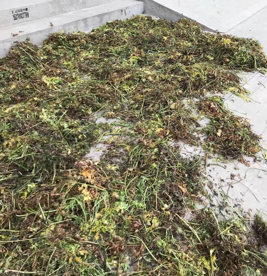 中药材蘼芜 新货蘼芜 山鞠穷.芎藭.香果.胡藭马衔芎藭雀脑芎500克