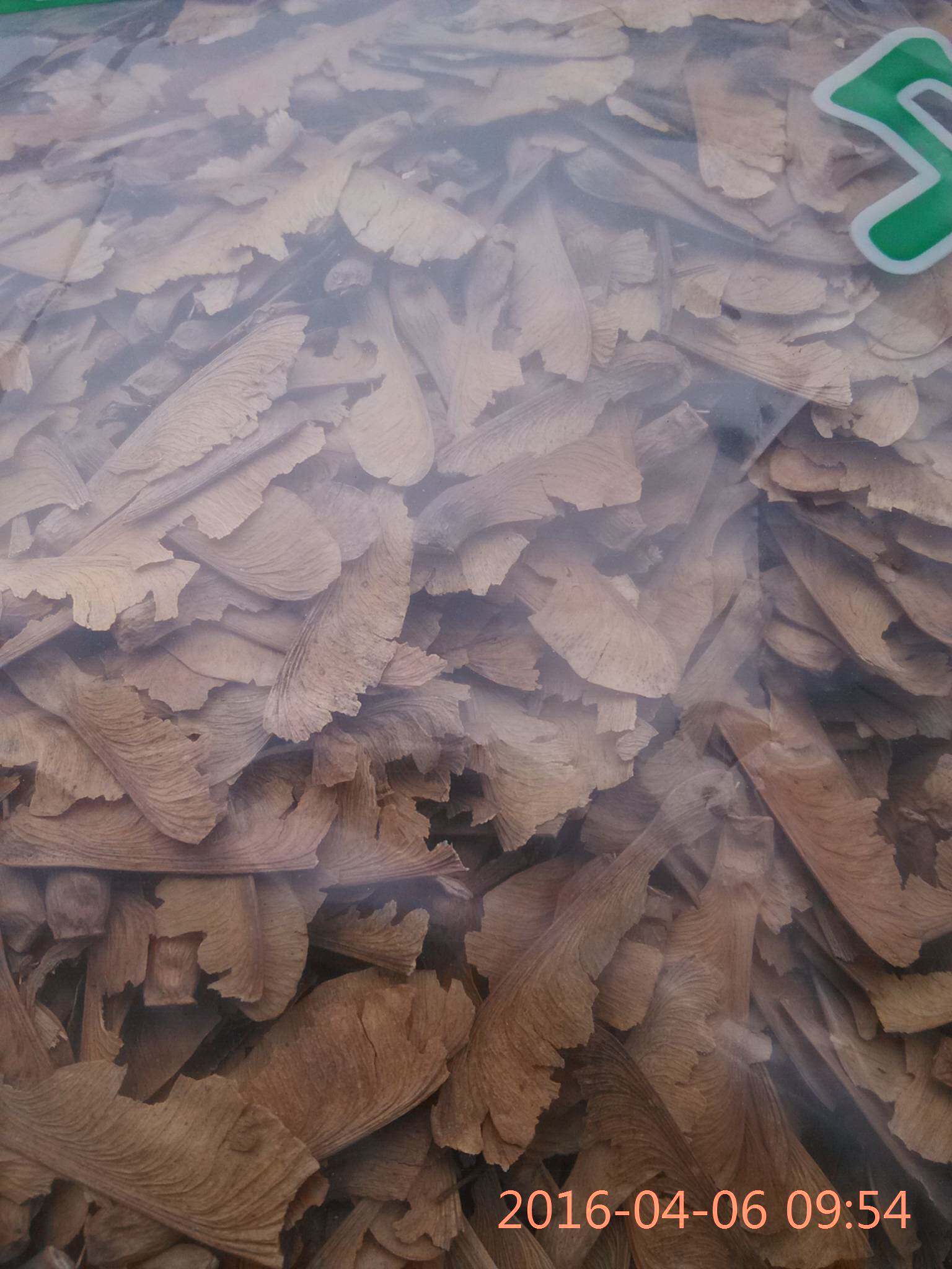 中药材 蝴蝶花 26元1斤包邮 三色堇