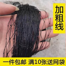 防蛇尼龙网辣条专用鱼网尼龙网加粗加长防虫柔软耐用黑色单层网套