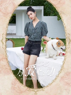 知恩GCCG正品轻奢夏新款绿底老花短袖泡泡袖上衣V领小衫专柜7018