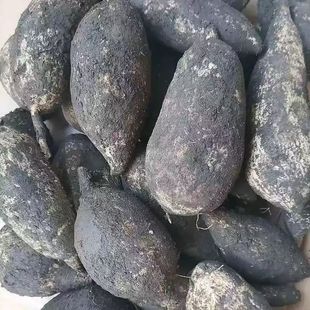 云南德宏特产农家自种新鲜蔬菜 洋丝瓜根 洋瓜 佛手瓜根 寿瓜500g