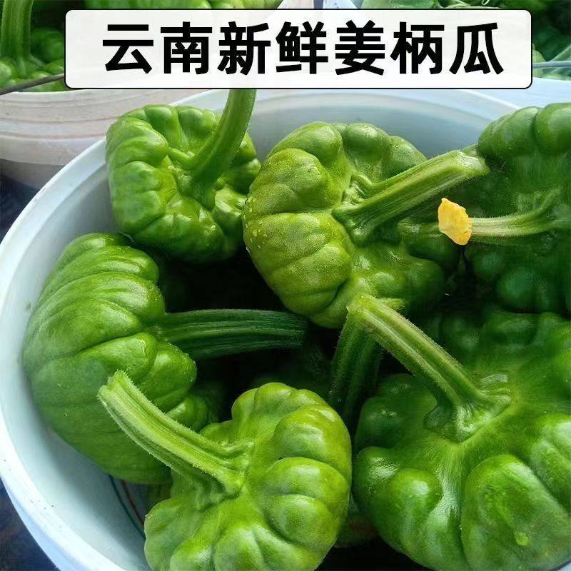 云南新鲜姜饼瓜小麦瓜迷你蔬菜小南瓜甜瓜小绿瓜特产嫩南瓜包邮