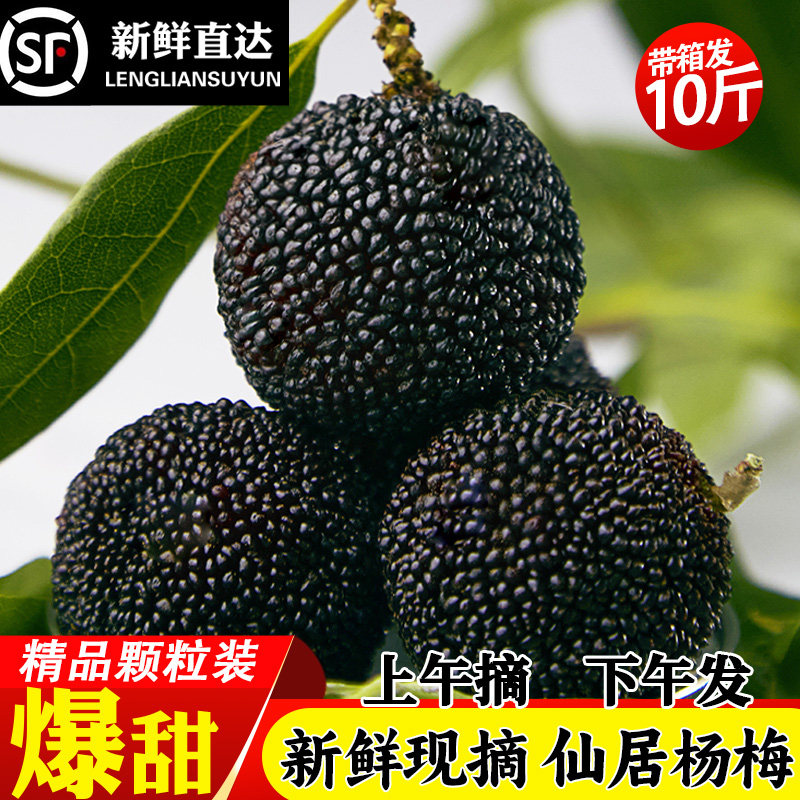 【特级大果】东魁杨梅鲜果东魁当季孕妇新鲜水果现摘现发整箱仙居