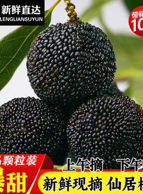 [现货速发]正宗仙居杨梅浙江杨梅新鲜现摘大东魁杨梅孕妇水果整箱