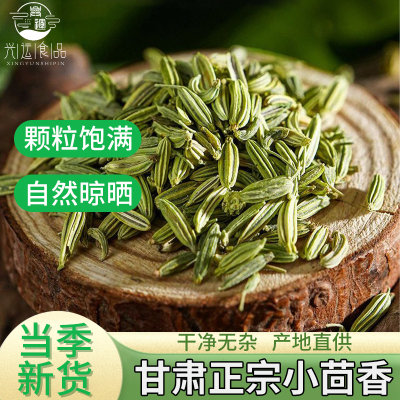 甘肃小茴香500g茴香籽包邮家用调料另售八角青花椒桂皮香料大全