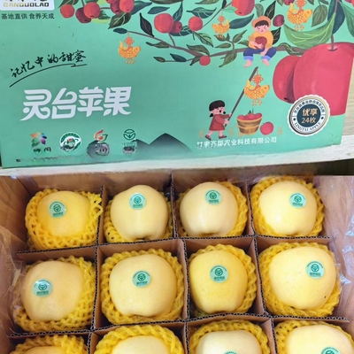 甘果佬苹果黄金维纳斯24枚优享装彩箱 灵台特产 顺丰包邮