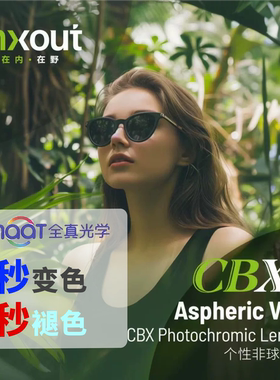 全新INXOUT全真镜片CBX净蓝膜M6蓝膜个性非球面内渐进专业变色灰